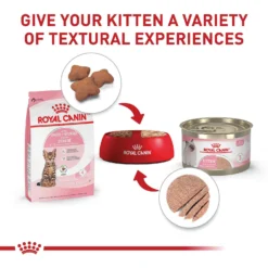 Royal Canin Feline Health Nutrition Kitten Spayed/Neutered Dry Cat Food -Furry Feast 54330 PT5. AC SS1800 V1697754442