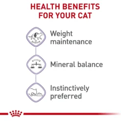 Royal Canin Feline Health Nutrition Spayed/Neutered Thin Slices In Gravy Canned Cat Food -Furry Feast 54338 PT3. AC SS1800 V1697757373