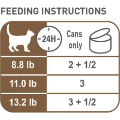 Royal Canin Aging 12+ Thin Slices In Gravy Canned Cat Food -Furry Feast 54340 PT2. AC SS1800 V1698094654