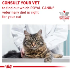Royal Canin Veterinary Diet Adult Dental Dry Cat Food -Furry Feast 57600 PT7. AC SS1800 V1644978083