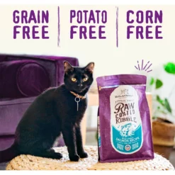 Stella & Chewy's Chicken Flavored Raw Coated Cage Free Dry Cat Food -Furry Feast 576062 PT5. AC SS1800 V1678908311