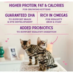 Stella & Chewy's Chicken Flavored Raw Coated Cage-Free Kitten Dry Cat Food -Furry Feast 576198 PT5. AC SS1800 V1657660463