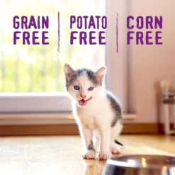 Stella & Chewy's Chicken Flavored Raw Coated Cage-Free Kitten Dry Cat Food -Furry Feast 576198 PT6. AC SS1800 V1657660463