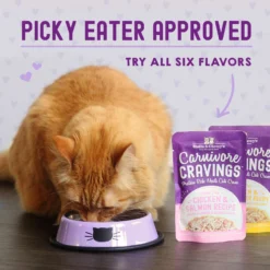 Stella & Chewy's Carnivore Cravings Duck & Chicken Flavored Shredded Wet Cat Food -Furry Feast 576262 PT8. AC SS1800 V1657660465