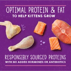 Stella & Chewy's Chicken & Salmon Flavored Pate Kitten Wet Cat Food -Furry Feast 576606 PT3. AC SS1800 V1657660473
