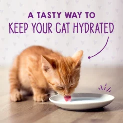 Stella & Chewy's Chicken & Salmon Flavored Pate Kitten Wet Cat Food -Furry Feast 576606 PT8. AC SS1800 V1657660473