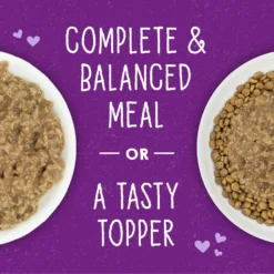 Stella & Chewy's Stella & Chewy's Carnivore Cravings Cage-Free Chicken Flavored Minced Wet Cat Food -Furry Feast 576622 PT6. AC SS1800 V1657660473