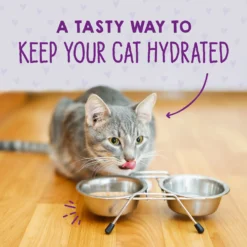 Stella & Chewy's Stella & Chewy's Carnivore Cravings Cage-Free Chicken Flavored Minced Wet Cat Food -Furry Feast 576622 PT7. AC SS1800 V1657660473