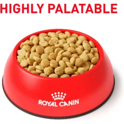 Royal Canin Veterinary Diet Adult Satiety Support Weight Management Dry Cat Food -Furry Feast 58752 PT2. AC SS1800 V1676556700