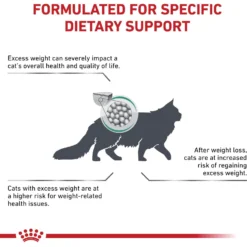 Royal Canin Veterinary Diet Adult Satiety Support Weight Management Dry Cat Food -Furry Feast 58752 PT3. AC SS1800 V1676556635