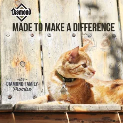 Diamond Maintenance Formula Adult Dry Cat Food -Furry Feast 59941 PT4. AC SS1800 V1641253623