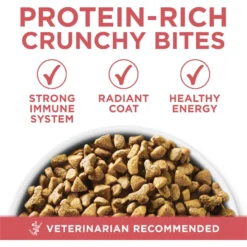 Purina ONE +Plus Indoor Advantage With Real Salmon Natural Adult Dry Cat Food -Furry Feast 610862 PT2. AC SS1800 V1674843980