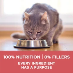 Purina ONE +Plus Indoor Advantage With Real Salmon Natural Adult Dry Cat Food -Furry Feast 610862 PT6. AC SS1800 V1674843980
