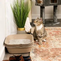 Kitty Sift Disposable Sifting Cat Litter Box Kit