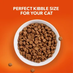 Iams ProActive Health Healthy Senior Dry Cat Food -Furry Feast 61410 PT2. AC SS1800 V1609974741