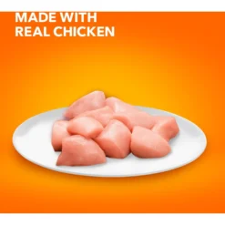 Iams ProActive Health Healthy Senior Dry Cat Food -Furry Feast 61410 PT3. AC SS1800 V1609948139