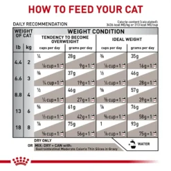 Royal Canin Veterinary Diet Adult Gastrointestinal Moderate Calorie Dry Cat Food -Furry Feast 61807 PT7. AC SS1800 V1691506494