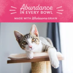 Natural Balance Fat Cats With Chicken Meal, Salmon Meal, Garbanzo Beans, Peas & Oatmeal Dry Cat Food -Furry Feast 61829 PT7. AC SS1800 V1522269621