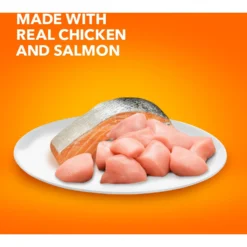 Iams ProActive Health Adult Hairball Care With Chicken & Salmon Dry Cat Food 12 Iams ProActive Health Adult Hairball Care With Chicken & Salmon Dry Cat Food -Furry Feast 62991 PT3. AC SS1800 V1609948041