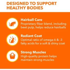 Iams ProActive Health Adult Hairball Care With Chicken & Salmon Dry Cat Food 13 Iams ProActive Health Adult Hairball Care With Chicken & Salmon Dry Cat Food -Furry Feast 62991 PT4. AC SS1800 V1609948654