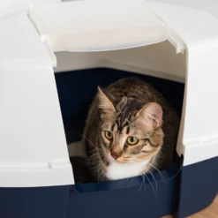 IRIS USA Hooded Corner Cat Litter Box With Front Door Flap -Furry Feast 645502 PT8. AC SS1800 V1685468316