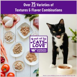 Wellness Natural Grain-Free Gravies Turkey Dinner Canned Cat Food + 2 Items -Furry Feast 646830 PT3. AC SS1800 V1664554259