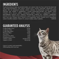 Purina Pro Plan Veterinary Diets DM Dietetic Management Dry Cat Food -Furry Feast 64868 PT4. AC SS1800 V1700158470