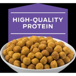 Purina Pro Plan Veterinary Diets DH Dental Health Dry Cat Food -Furry Feast 64884 PT3. AC SS1800 V1700159089