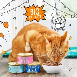 Tiny Tiger Chunks In EXTRA Gravy Seafood Recipes Variety Pack Grain-Free Canned Cat Food & Tiny Tiger, Lickables, Variety Pack, Bisque Cat Treat & Topper -Furry Feast 652798 PT2. AC SS1800 V1664899973