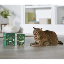 Tiny Tiger Pate Salmon Recipe Grain-Free Canned Cat Food & Tiny Tiger Lickables, Senior Formula, Tuna & Chicken Recipe, Bisque Cat Treat & Topper -Furry Feast 653126 PT8. AC SS1800 V1664898392