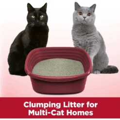 Blue Buffalo Tastefuls Sensitive Stomach Natural Chicken Adult Dry Cat Food & Arm & Hammer Litter Clump & Seal Multi-Cat Scented Clumping Clay Cat Litter -Furry Feast 653462 PT7. AC SS1800 V1665512922