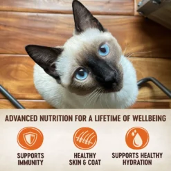 Wellness CORE Signature Selects Shredded Boneless Chicken & Chicken Liver Entree In Sauce Grain-Free Natural Canned Cat Food & Wellness CORE Signature Selects Flaked Skipjack Tuna & Wild Salmon Entree In Broth Grain-Free Canned Cat Food -Furry Feast 662694 PT4. AC SS1800 V1667324762