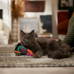 Frisco Halloween Frog In Witch Hat Plush Kicker Cat Toy With Catnip -Furry Feast 667942 PT3. AC SS1800 V1689355019