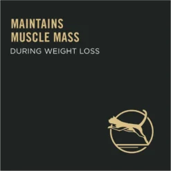 Purina Pro Plan Adult Weight Management Chicken & Rice Formula Dry Cat Food -Furry Feast 67885 PT3. AC SS1800 V1649197596