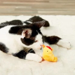 Multipet Look Who's Talking Chicken Plush Cat Toy With Catnip -Furry Feast 68011 PT5. AC SS1800 V1525720044