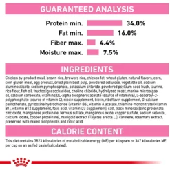 Royal Canin Feline Health Nutrition Kitten Dry Cat Food -Furry Feast 68401 PT7. AC SS1800 V1697762048