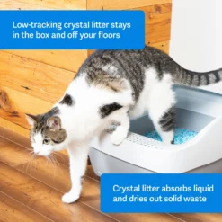 PetSafe ScoopFree Premium Crystal Litter 2-Pack & PetSafe ScoopFree Complete Reusable Litter Tray -Furry Feast 694158 PT2. AC SS1800 V1668532511