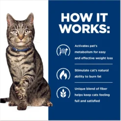 Hill's Prescription Diet Metabolic Chicken Flavor Dry Cat Food -Furry Feast 69812 PT5. AC SS1800 V1668547936