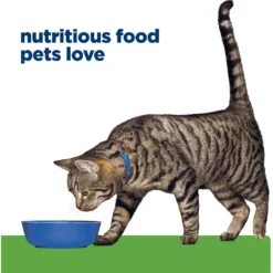 Hill's Prescription Diet Metabolic Chicken Flavor Dry Cat Food -Furry Feast 69812 PT6. AC SS1800 V1668550702