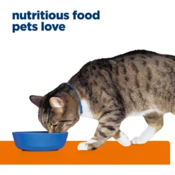 Hill's Prescription Diet S/d Urinary Care Chicken Flavor Dry Cat Food -Furry Feast 69830 PT6. AC SS1800 V1668549928