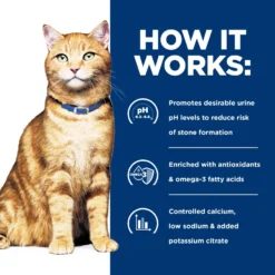 Hill's Prescription Diet C/d Multicare Urinary Care With Ocean Fish Wet Cat Food -Furry Feast 69857 PT5. AC SS1800 V1651242726