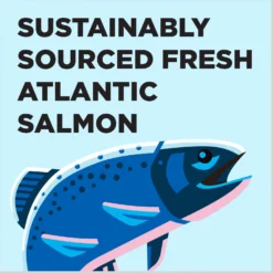 BIXBI Liberty Salmon Recipe Grain-Free Dry Cat Food -Furry Feast 703742 PT3. AC SS1800 V1667864392