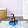 Van Ness Cat Litter Pan, Blue