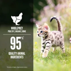 ORIJEN Kitten Recipe Chicken + Salmon Entree In Bone Broth Wet Cat Food -Furry Feast 741350 PT4. AC SS1800 V1681756777