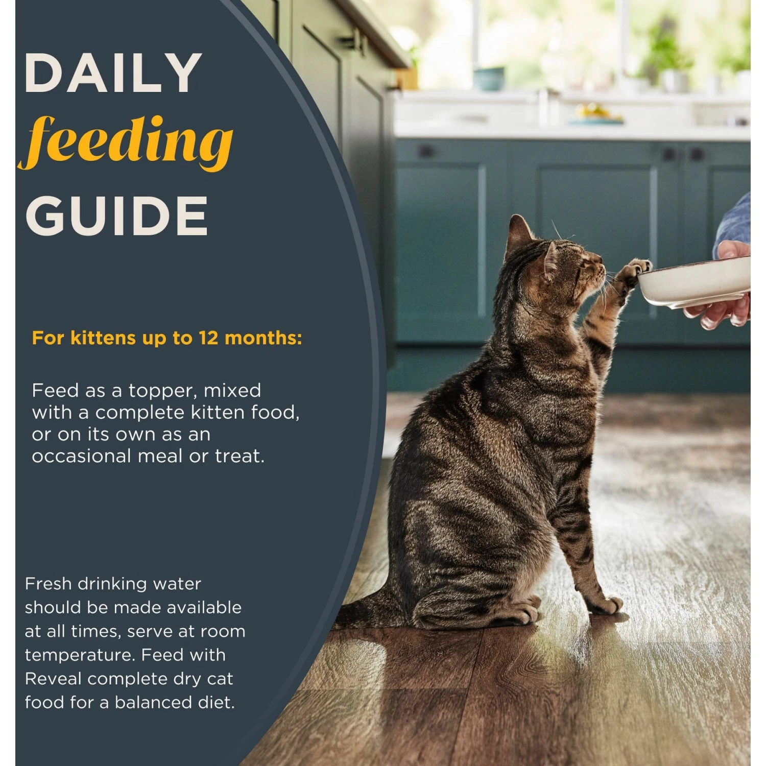 Reveal Natural Limited Ingredient Grain-Free Chicken Breast In Broth Wet Kitten Food, 2.47-oz, Case Of 12 6 Reveal Natural Limited Ingredient Grain-Free Chicken Breast In Broth Wet Kitten Food, 2.47-oz, Case Of 12 - Image 6