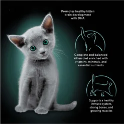 Sheba Perfect Portions Kitten Chicken Pate Wet Cat Food -Furry Feast 752934 PT2. AC SS1800 V1672851777