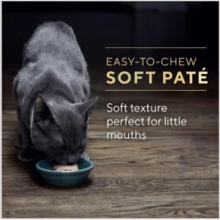 Sheba Perfect Portions Kitten Chicken Pate Wet Cat Food -Furry Feast 752934 PT7. AC SS1800 V1672851238