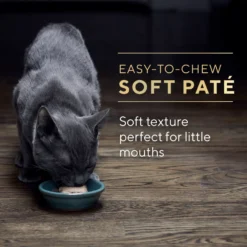 Sheba Perfect Portions Kitten Variety Pack Chicken Pate & Pate Salmon Wet Cat Food -Furry Feast 752950 PT8. AC SS1800 V1672843191