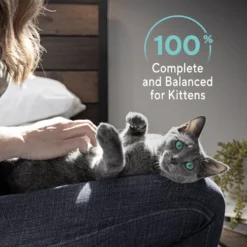 Sheba Perfect Portions Kitten Salmon Soft Pate Wet Cat Food -Furry Feast 752966 PT8. AC SS1800 V1672842512