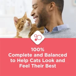 Cat Chow Complete High Protein Salmon Dry Cat Food -Furry Feast 754158 PT5. AC SS1800 V1673365262